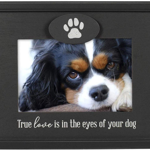 https://cdn.shopify.com/s/files/1/0085/6211/4675/products/malden-4-x-6-true-love-in-eyes-of-dog-picture-frame-black-106751_512x512.jpg?v=1681475382