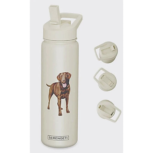 E & S Imports Serengeti Tan Chihuahua 24 oz Water Bottle - Annies Hallmark and Gretchens Hallmark