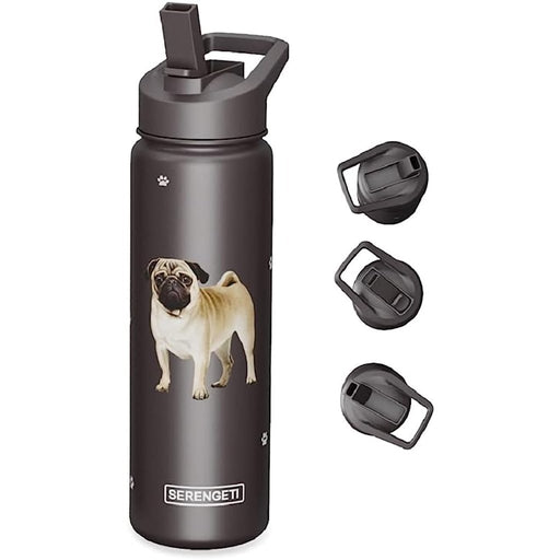 24 oz Matte Black Water Bottle - Whisk