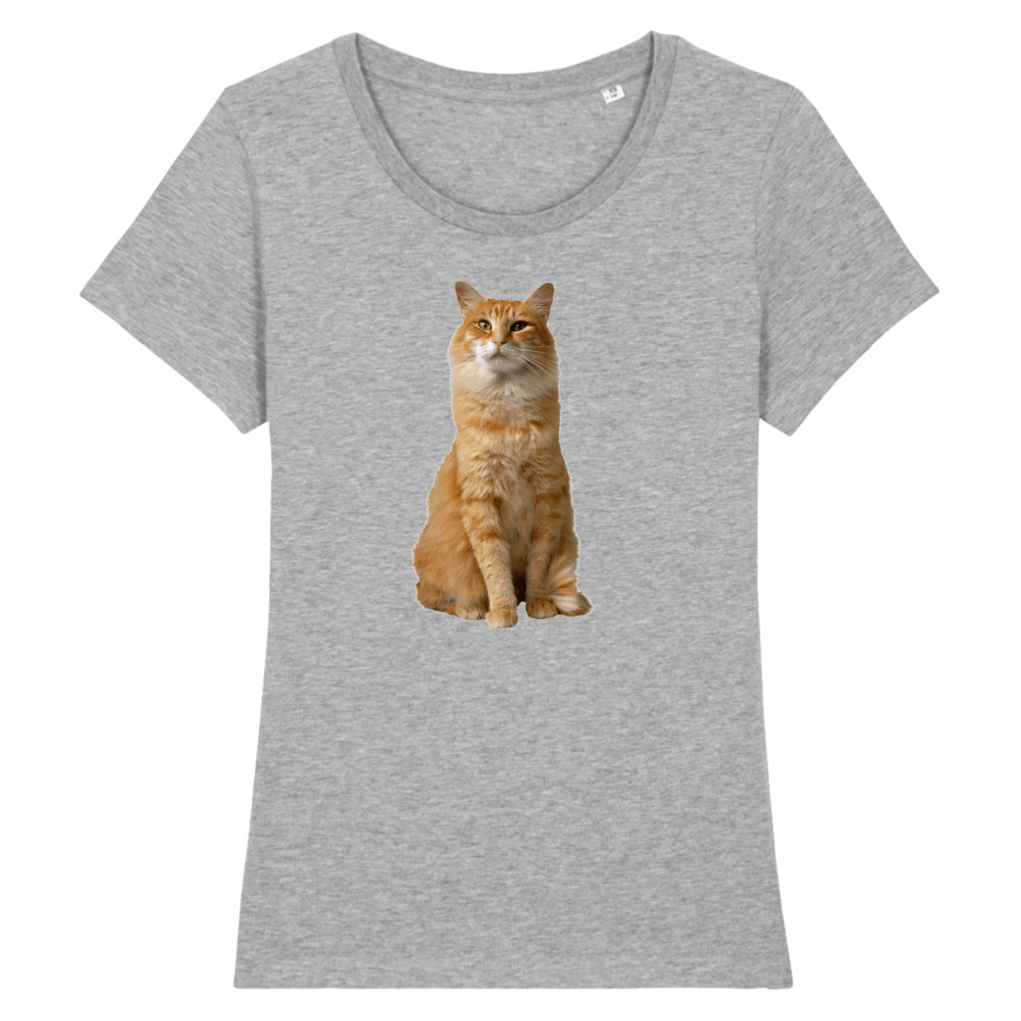 T Shirt Chat Roux Chat Pristi