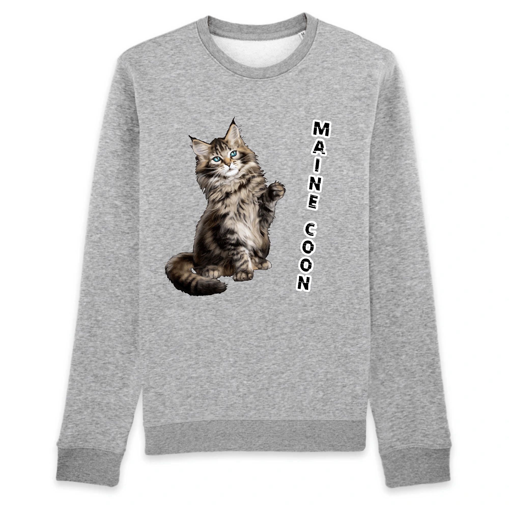 Pull Chat Maine Coon Chat Pristi