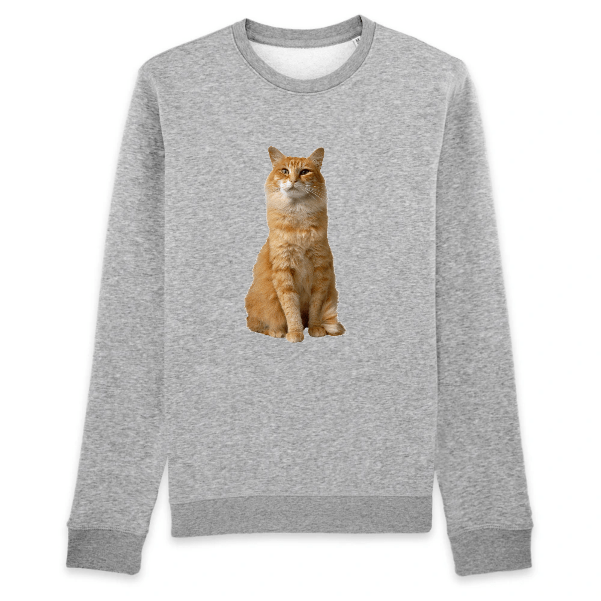 Pull Chat Roux Chat Pristi