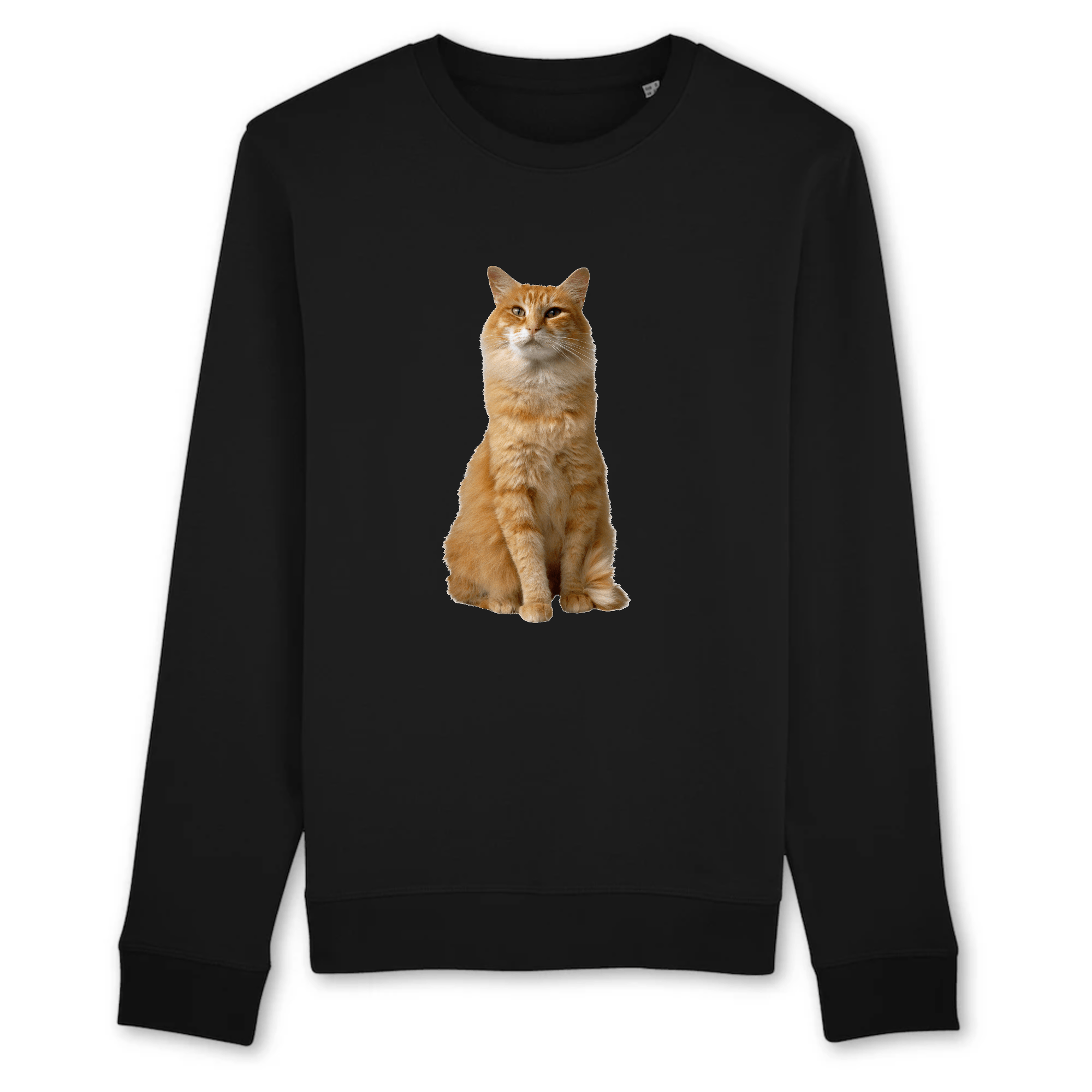 Pull Chat Roux Chat Pristi