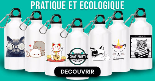 gourde chat collection