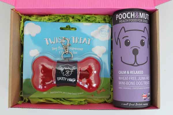 Grey Treat Dispenser with Pooch and Mutt Dog Biscuits Combo Gift Box -  Tatty Head