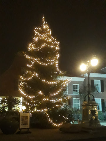 Kerstboom aan de Markt in Delden