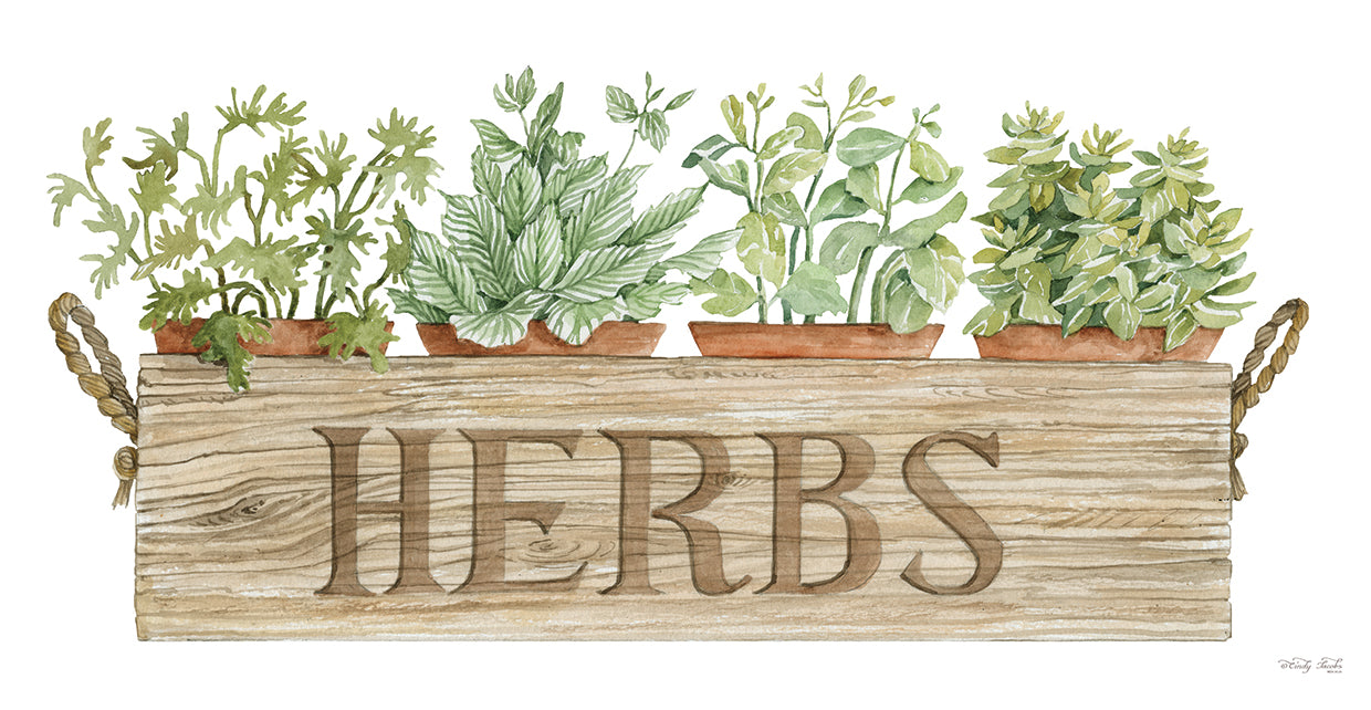 Cindy Jacobs's Crate of Herbs Canvas Art Prints | Fine Art Canvas ...