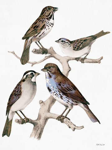 Birds on Branch Canvas Print