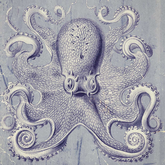 Octopus 1 Illustration Canvas Print