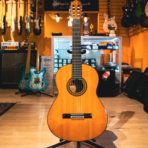 yamaha guitar g231ii