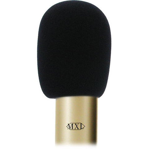 Microphone Pop Filters and Windscreens - Music City Canada