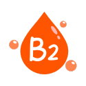 B's Symphony: Harmonizing Health & Vitality