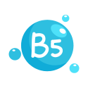 B's Symphony: Harmonizing Health & Vitality