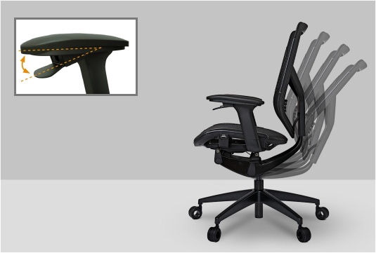 Height Adjustable Back and Lumbar Support