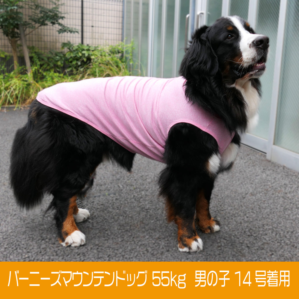 犬服❣️フルタンクトップ ペット服 タンクトップ ミントグリーン S小型犬