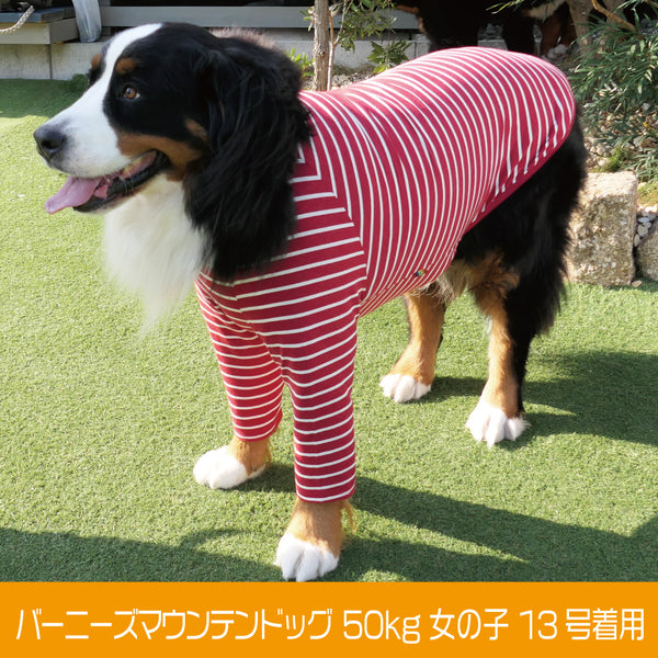 超大型犬 かわいい 暖かい犬服 プチプラ ｖｅｒｙ ベリー 大型犬 Very Pet