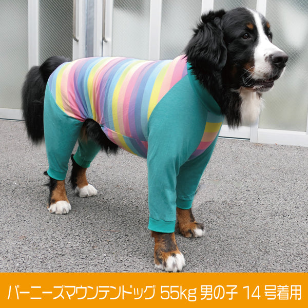 超大型犬 かわいい 暖かい犬服 プチプラ ｖｅｒｙ ベリー 大型犬 Very Pet