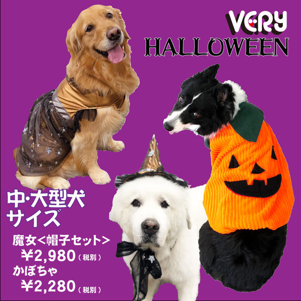 ハロウィン コスプレ 中型犬 大型犬 魔女 かぼちゃ ｖｅｒｙ ベリー Very Pet