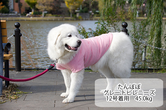 犬 服 Very 無地 コットン Tシャツ タンクトップ 3枚 セット 大型犬 犬服 ベリー かわいい Very Pet