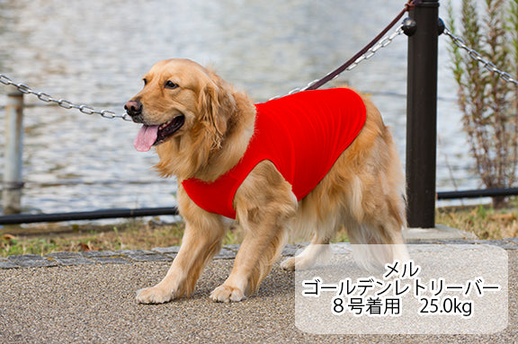 犬 服 Very 無地 コットン Tシャツ タンクトップ 3枚 セット 大型犬 犬服 ベリー かわいい Very Pet