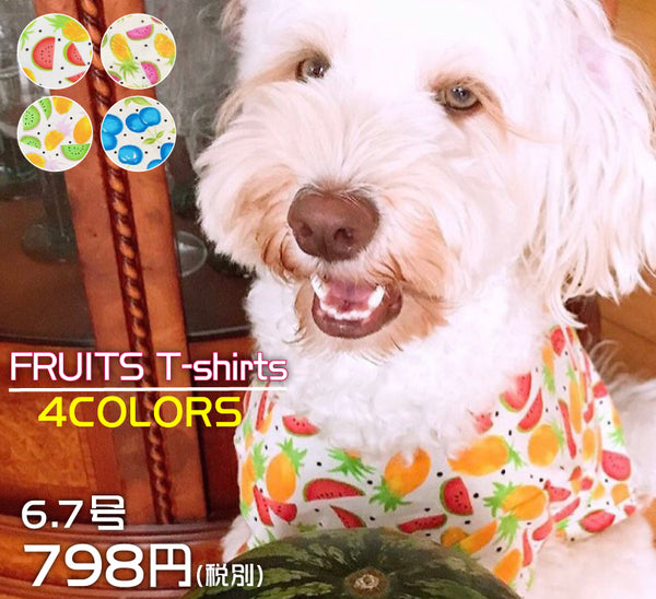 犬 服 Very 春夏 フルーツ柄 ｔシャツ 中型犬 犬服 スイカ柄 かわいい おしゃれ ドッグウェア ベリー プチプラ Very Pet