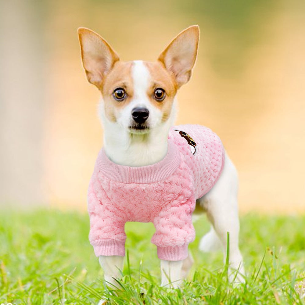 cute dog sweaters