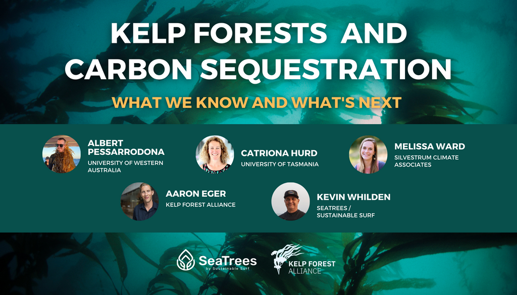 Global Forest Coalition Webinar on Carbon Removals: Unravelling