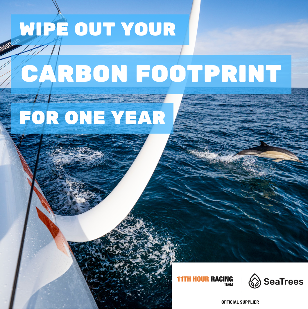 Compensate Your Carbon Footprint - For One Year with 11th Hour Racing Team and SeaTrees - SeaTrees product image