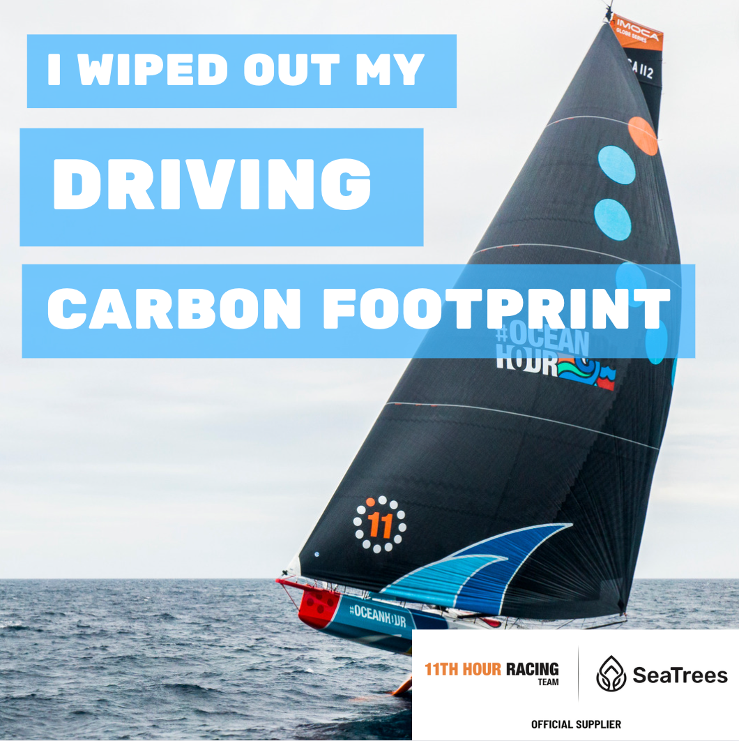 Compensate Your Driving Carbon Footprint with 11th Hour Racing Team and SeaTrees - SeaTrees product image