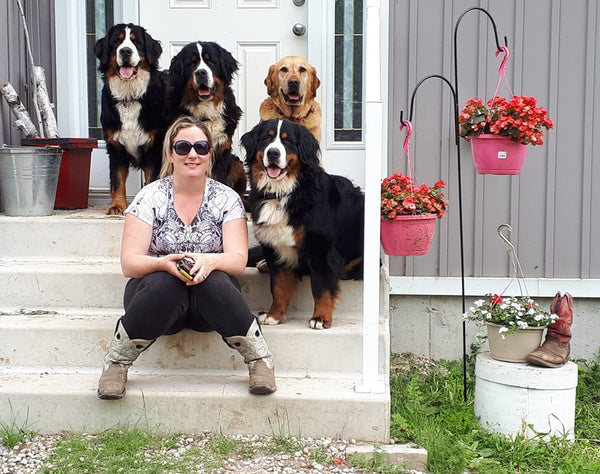 Bronwyn and her bernese mountain dogs and Cooper