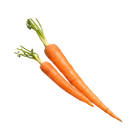 superfoods-07 carrots.png__PID:da46e633-74f4-422b-984e-4bb7b2376af7
