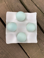 Ameraucana Blue Eggs