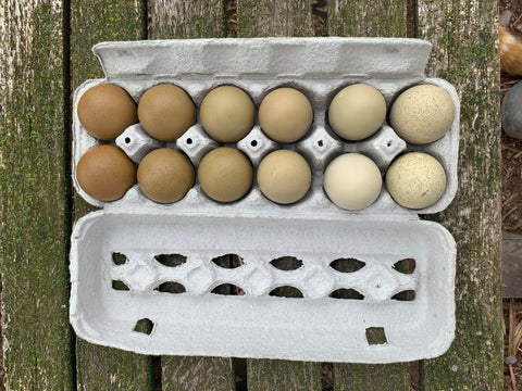 Olive Eggs