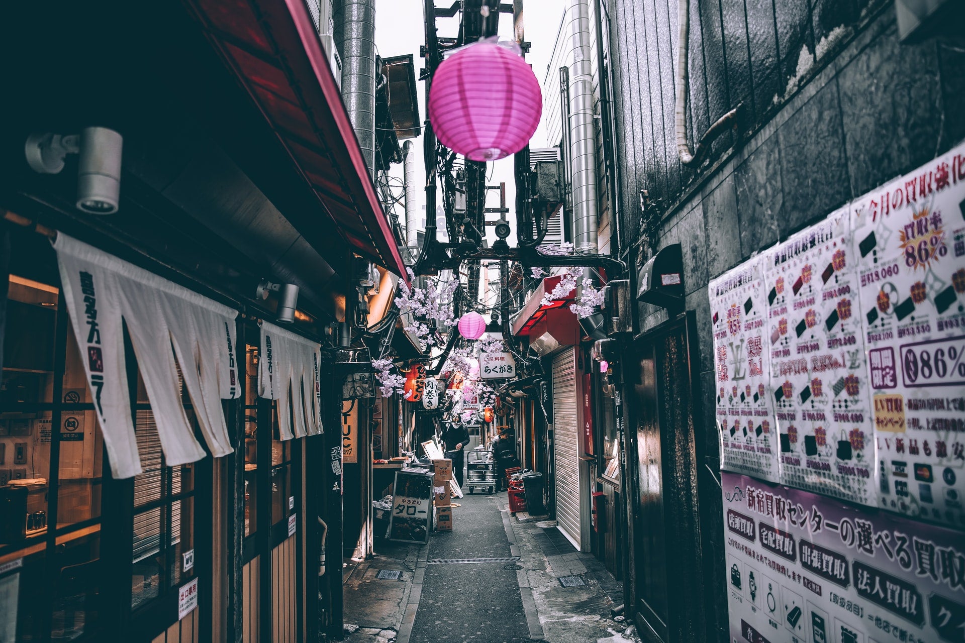 japan, image, unsplash