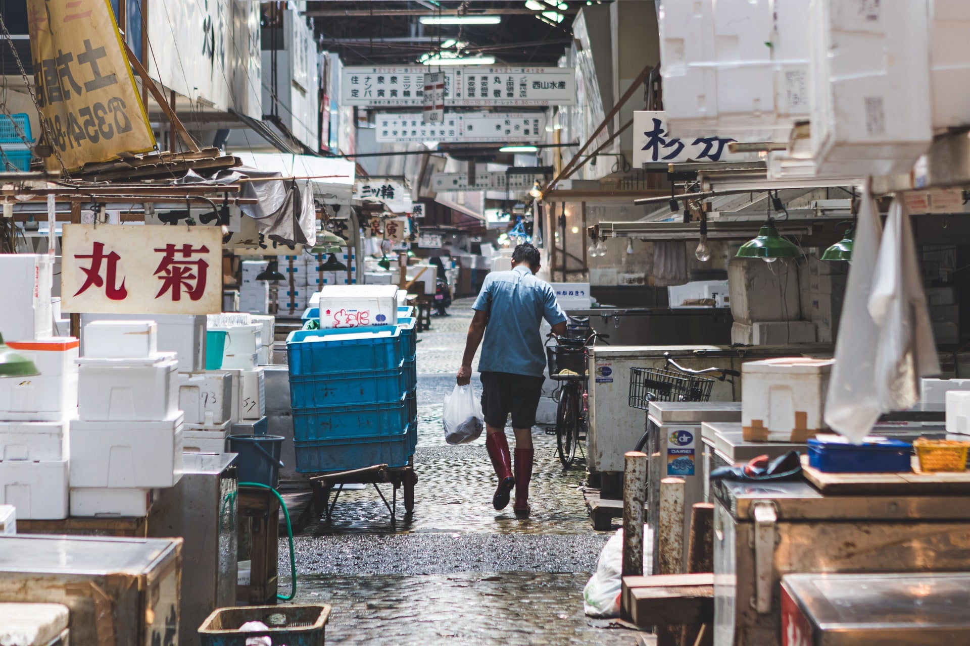 tsukiji, fiskemarked, tokyo, japan