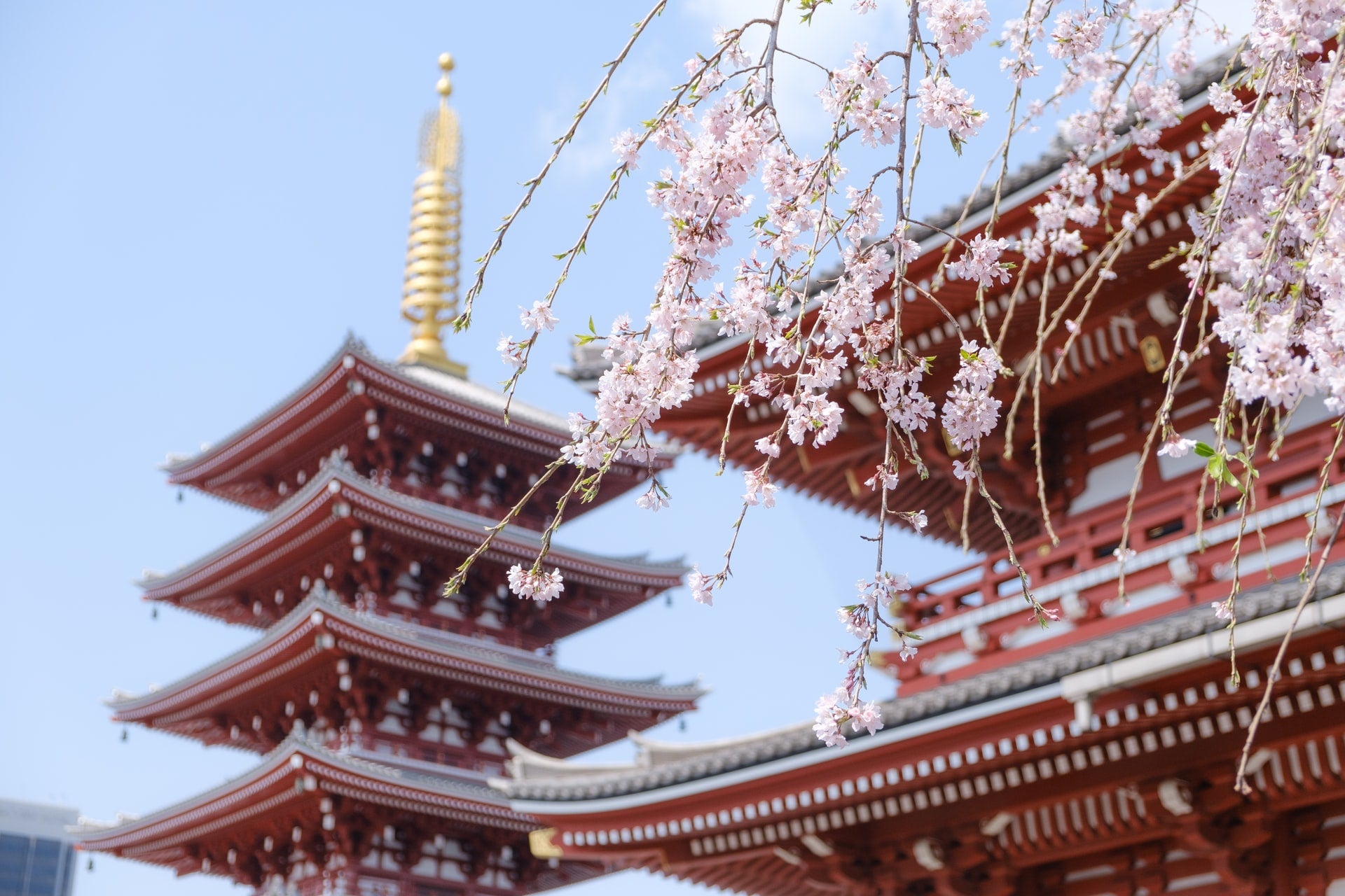 tokyo, japan, sensoji, temple, asakusa