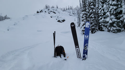 fresh xx skis at sentry lodge