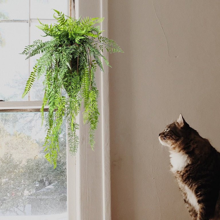 Asymmetry Hanging Fern Teardrop