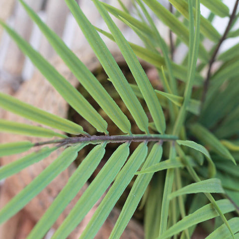 Ferrisland Artificial Areca Palm