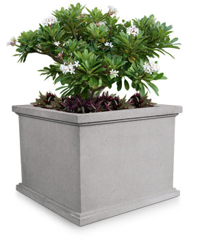 concrete flower pot