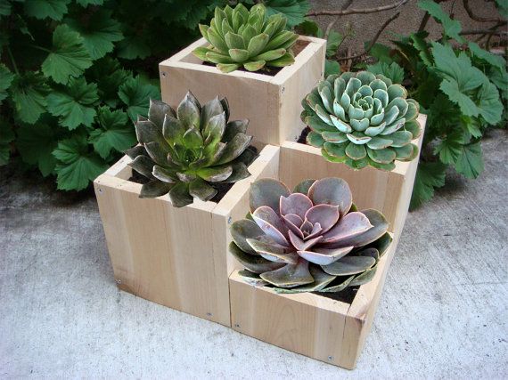 Wooden Flowering Pots