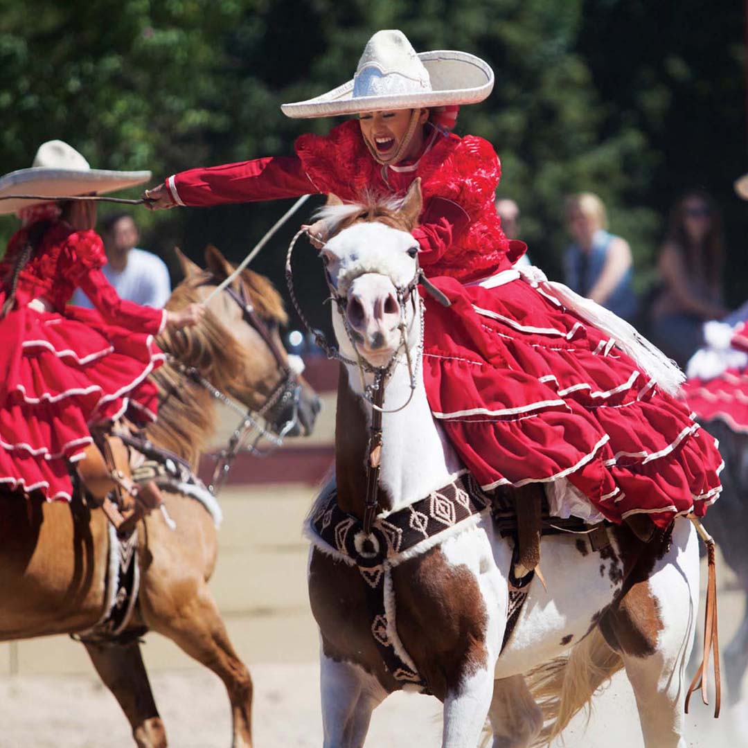 Meet the charro and skirmish costume of Mexican Culture – Botines Charros  LLC
