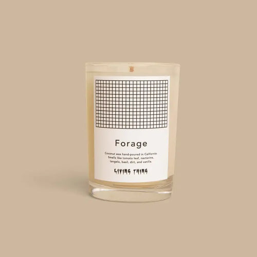 living-thing-forage-candle