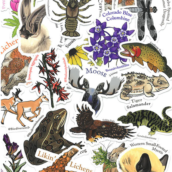 Wyoming Biodiversity Stickers! (Pack of 10) – Biodiversity Institute ...