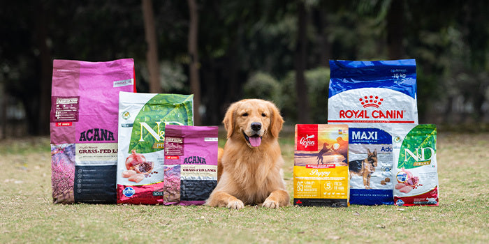 A dog sitting next to dog food packets