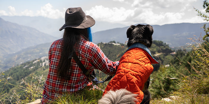 A human sitting with her dog, on a hike