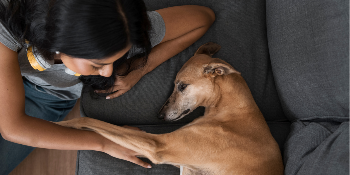 An Indian woman with her Indie dog at home 