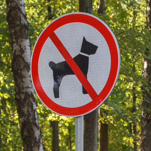 no dogs allowed sign outside park 