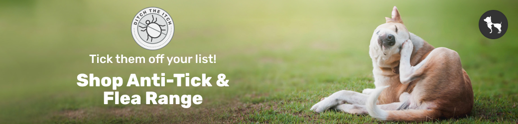 Dog Tick And Flea Solutions