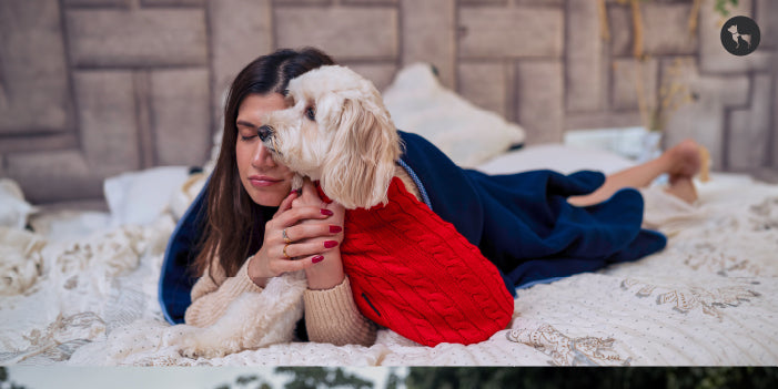 Dog Sweters